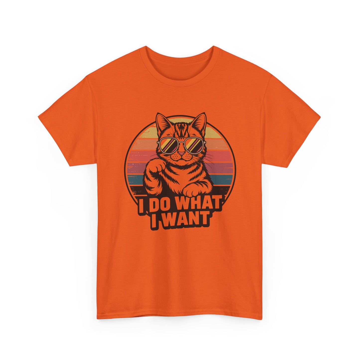 I Do What I Want Cat T-Shirt — Retro Sunglasses Vintage Stripe Graphic Tee