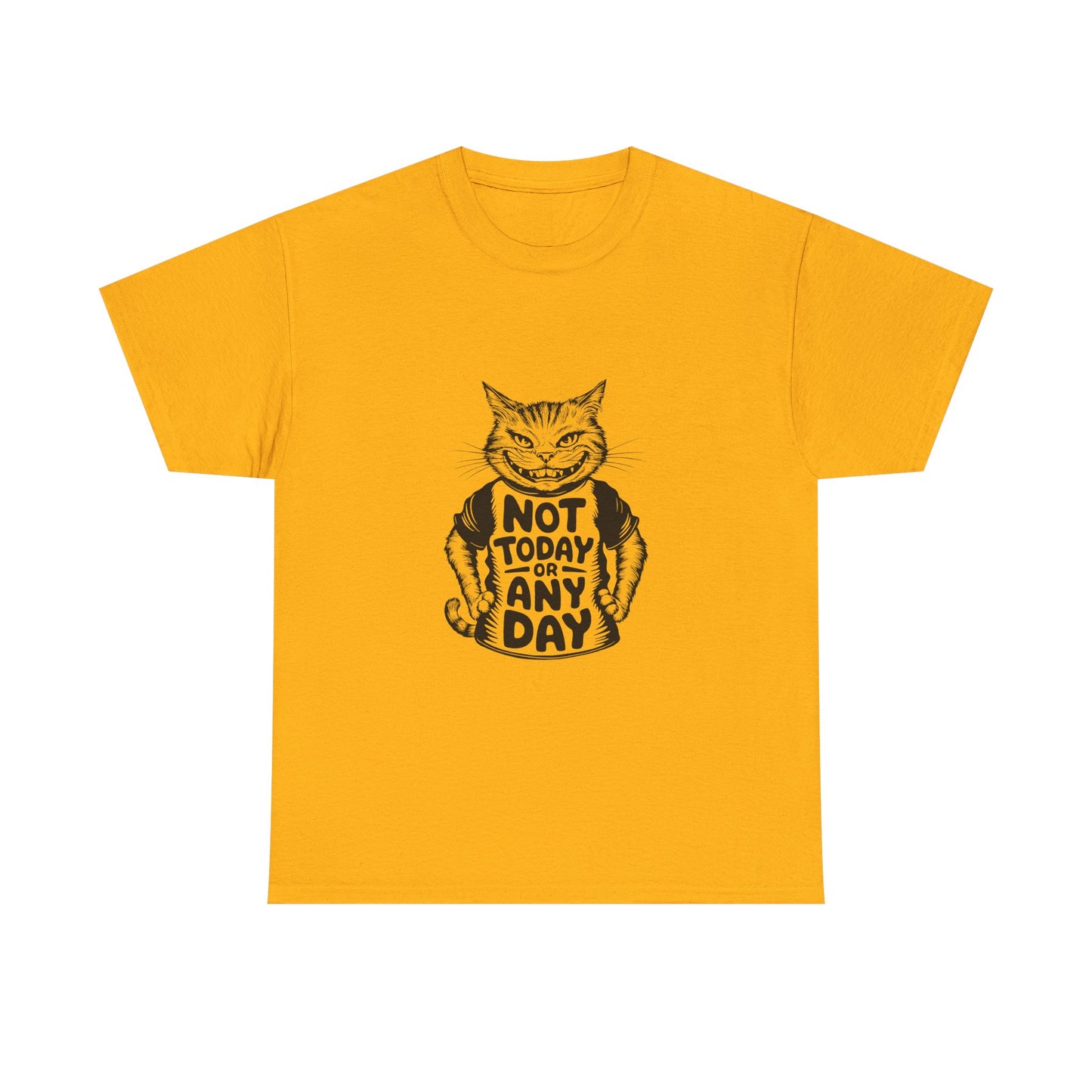 Cat Graphic Tee — “Not Today Any Day” Funny Grumpy Cat T‑Shirt