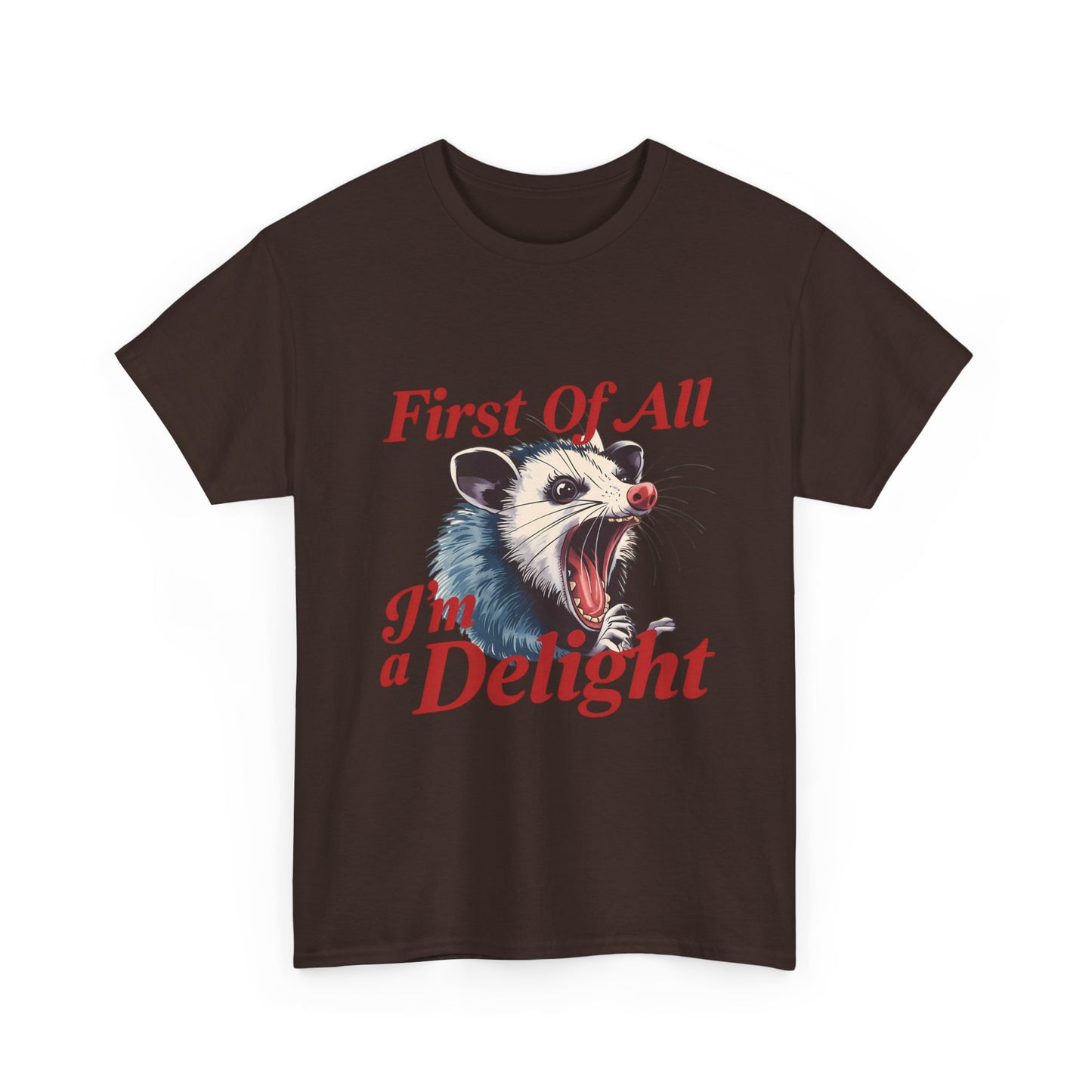 Possum 'First Of All I'm a Delight' Graphic Tee