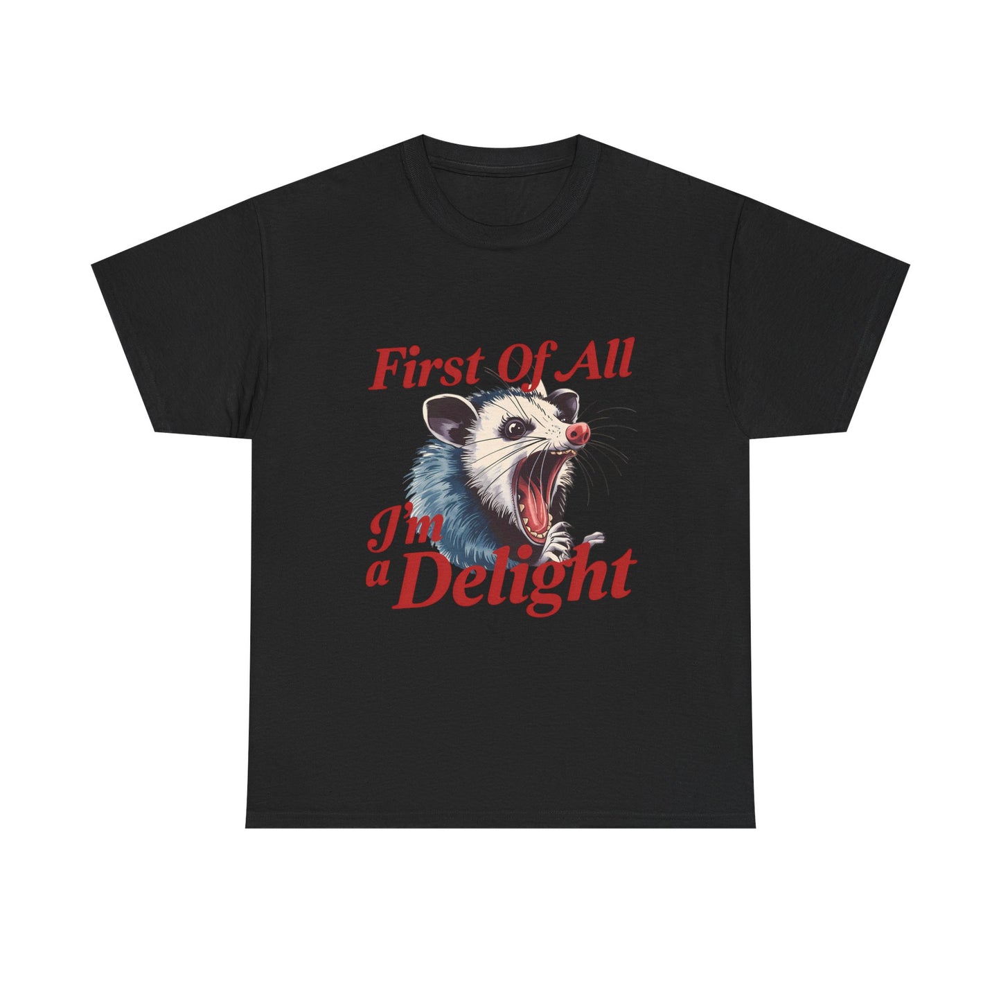 Possum 'First Of All I'm a Delight' Graphic Tee