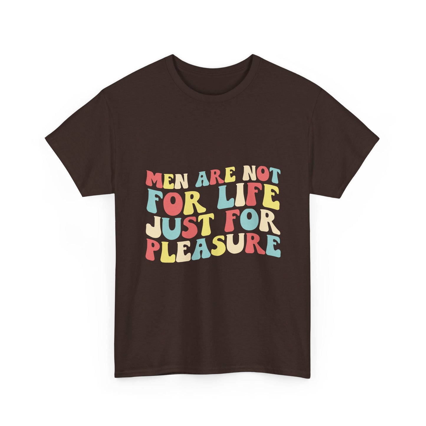 T-Shirt — "Men Are Not For Life Just For Pleasure" Retro Colorblock Graphic Tee