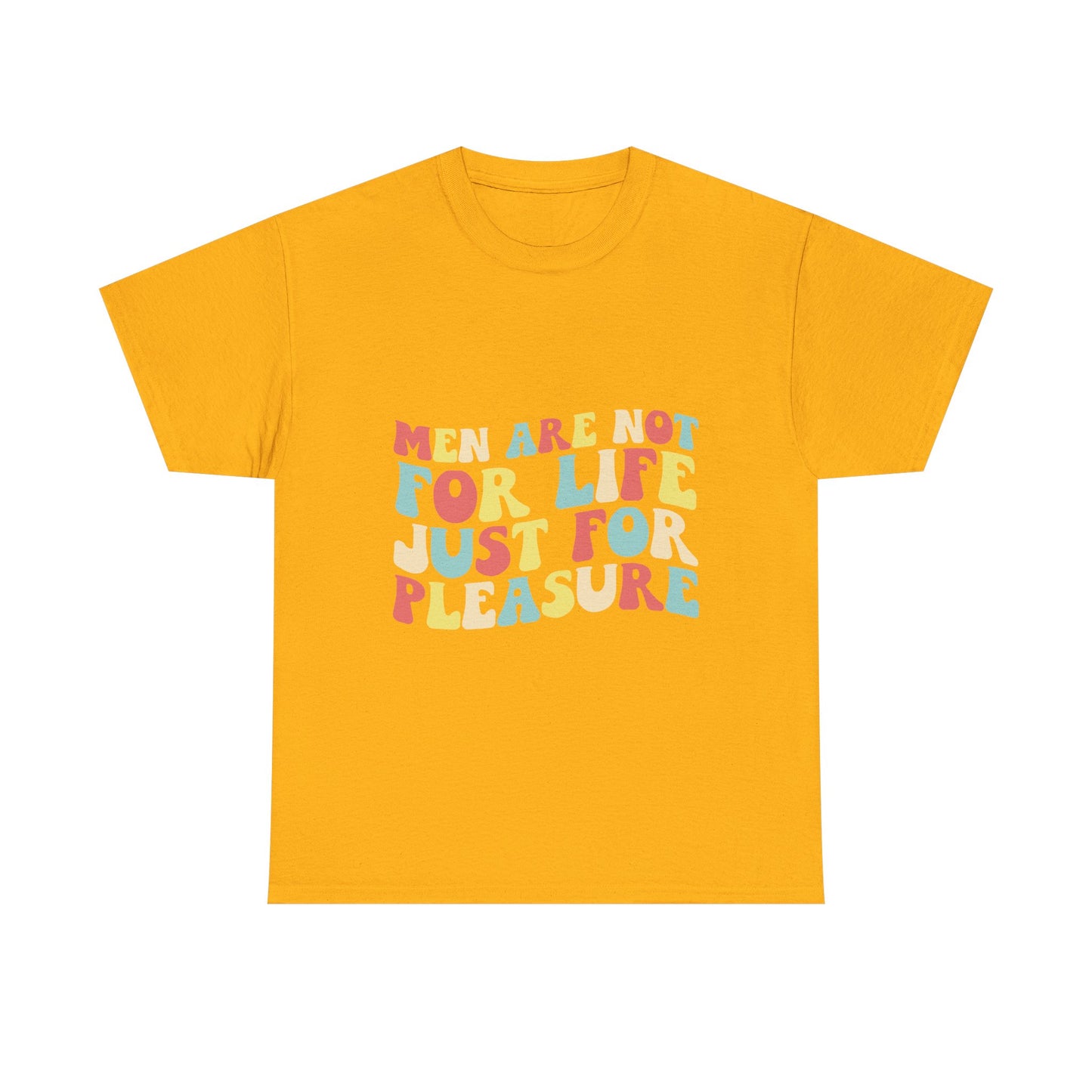T-Shirt — "Men Are Not For Life Just For Pleasure" Retro Colorblock Graphic Tee
