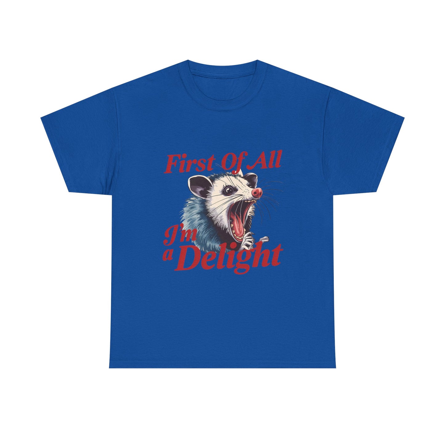Possum 'First Of All I'm a Delight' Graphic Tee
