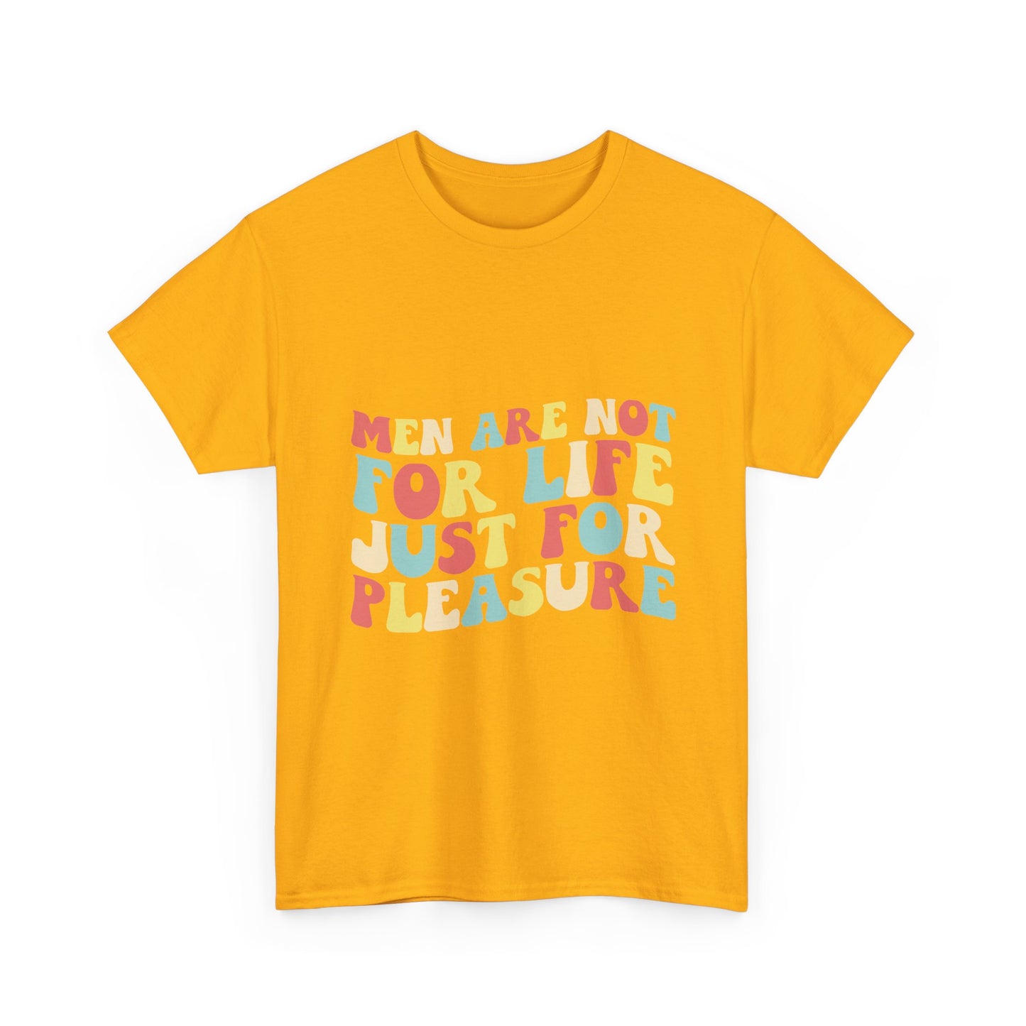 T-Shirt — "Men Are Not For Life Just For Pleasure" Retro Colorblock Graphic Tee
