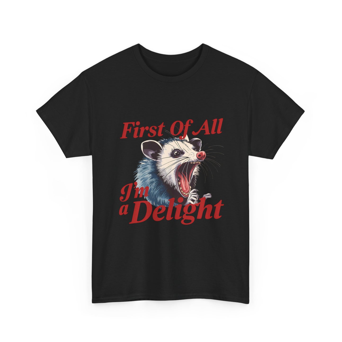 Possum 'First Of All I'm a Delight' Graphic Tee
