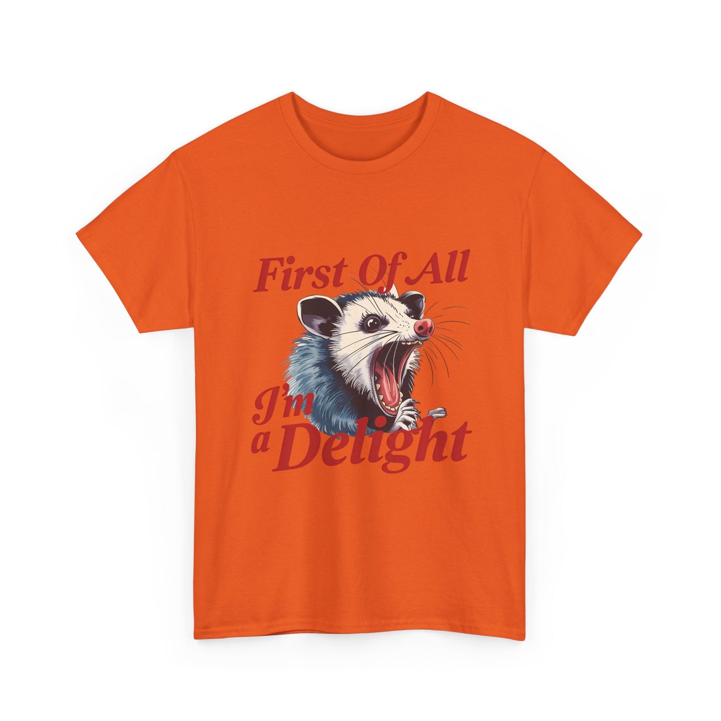 Possum 'First Of All I'm a Delight' Graphic Tee