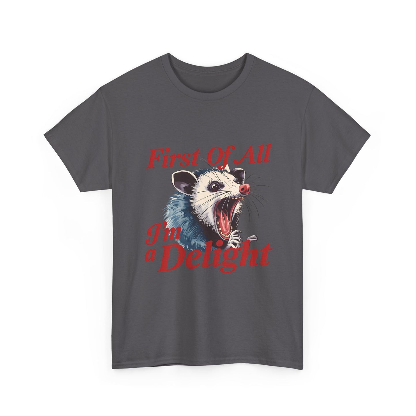 Possum 'First Of All I'm a Delight' Graphic Tee