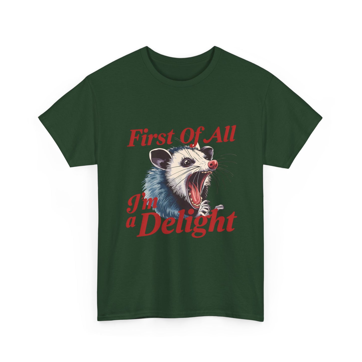 Possum 'First Of All I'm a Delight' Graphic Tee