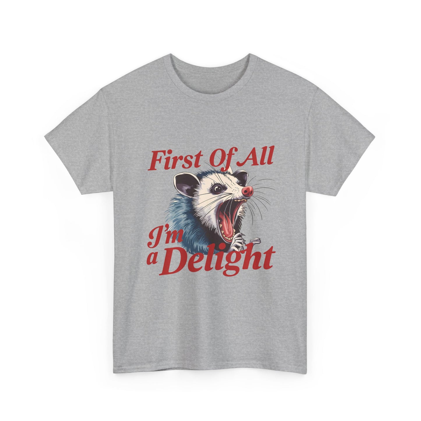Possum 'First Of All I'm a Delight' Graphic Tee