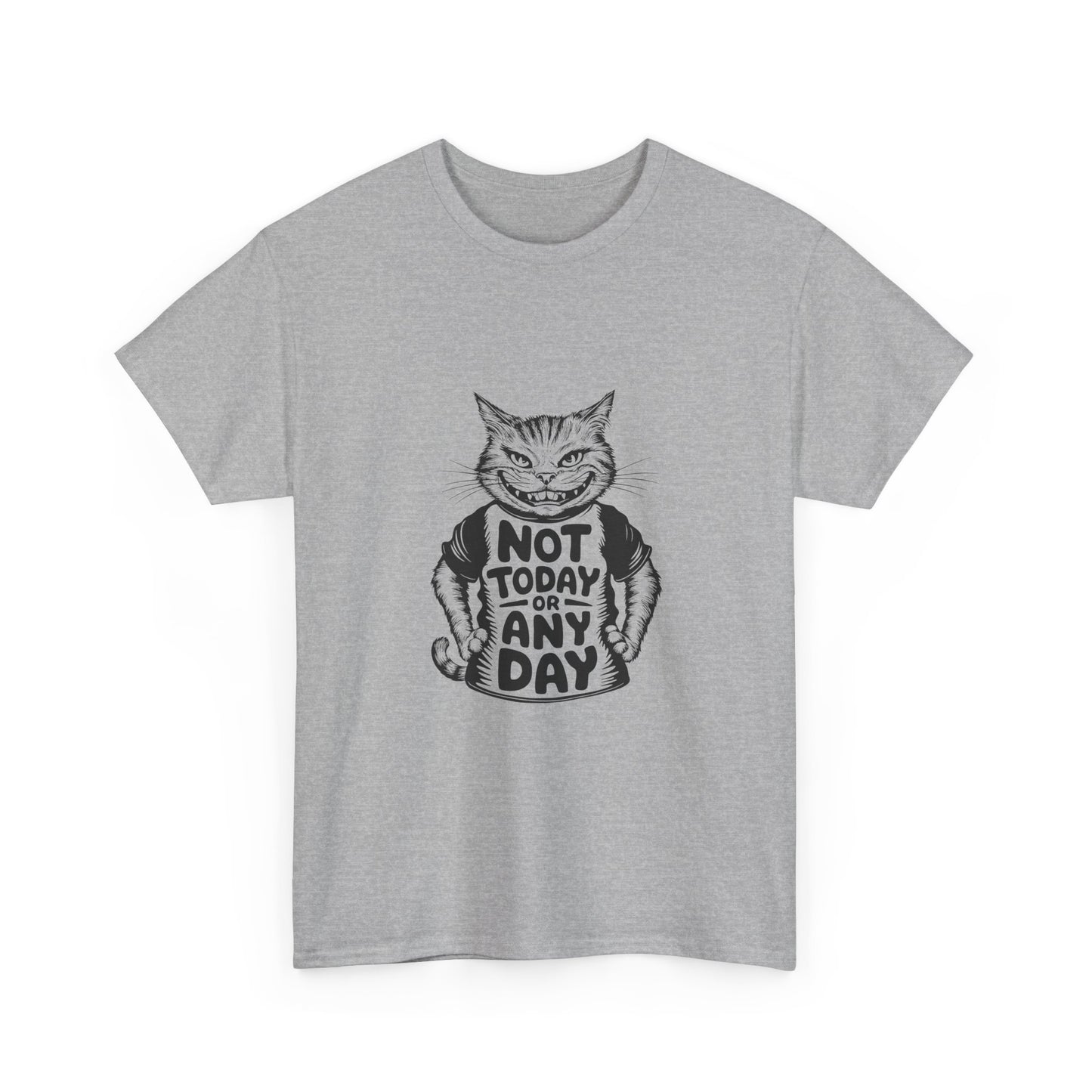 Cat Graphic Tee — “Not Today Any Day” Funny Grumpy Cat T‑Shirt
