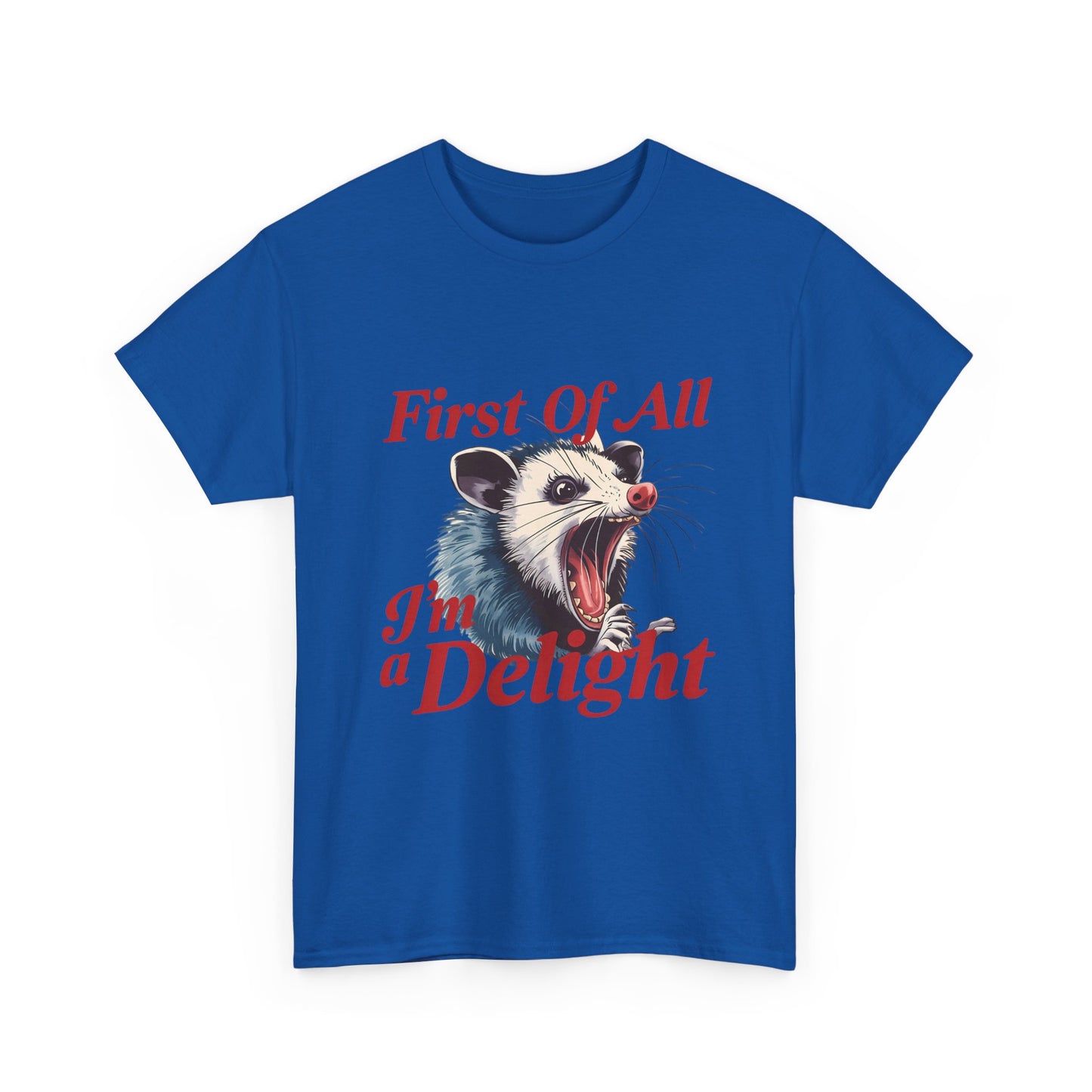 Possum 'First Of All I'm a Delight' Graphic Tee