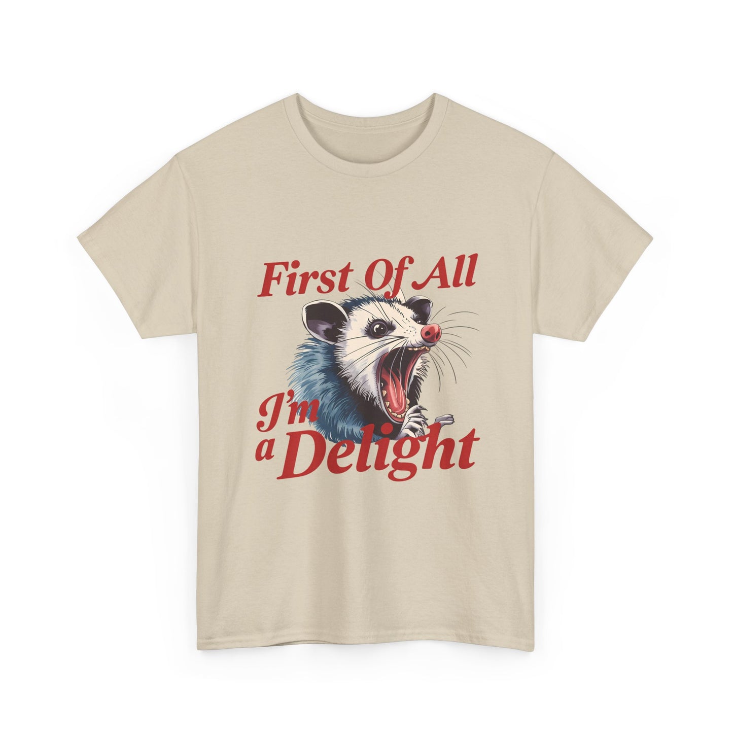 Possum 'First Of All I'm a Delight' Graphic Tee