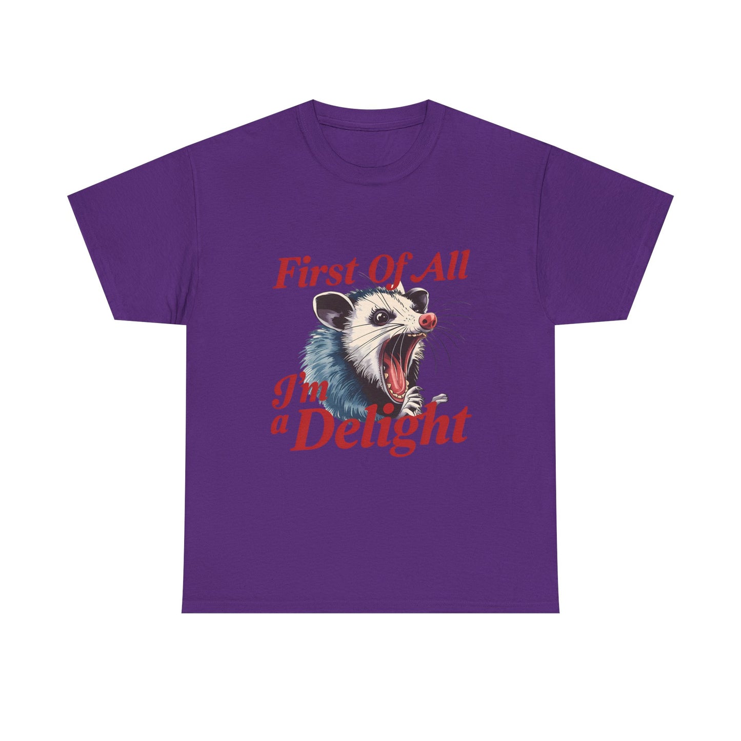 Possum 'First Of All I'm a Delight' Graphic Tee