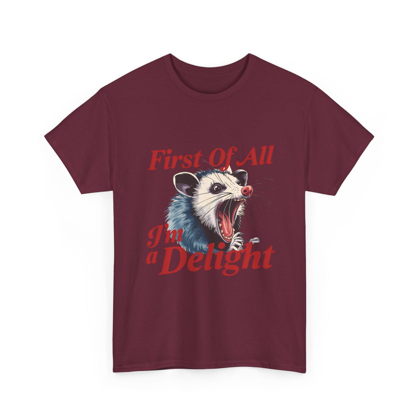 Possum 'First Of All I'm a Delight' Graphic Tee