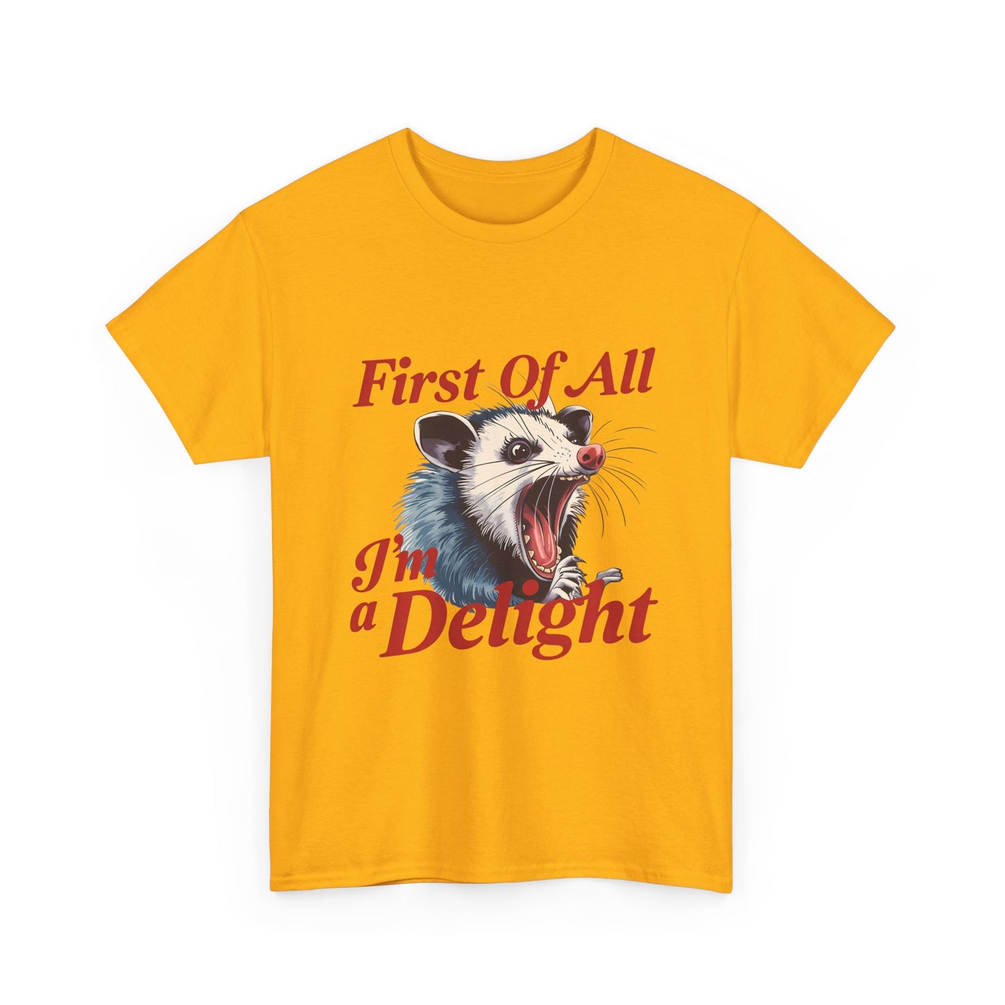 Possum 'First Of All I'm a Delight' Graphic Tee