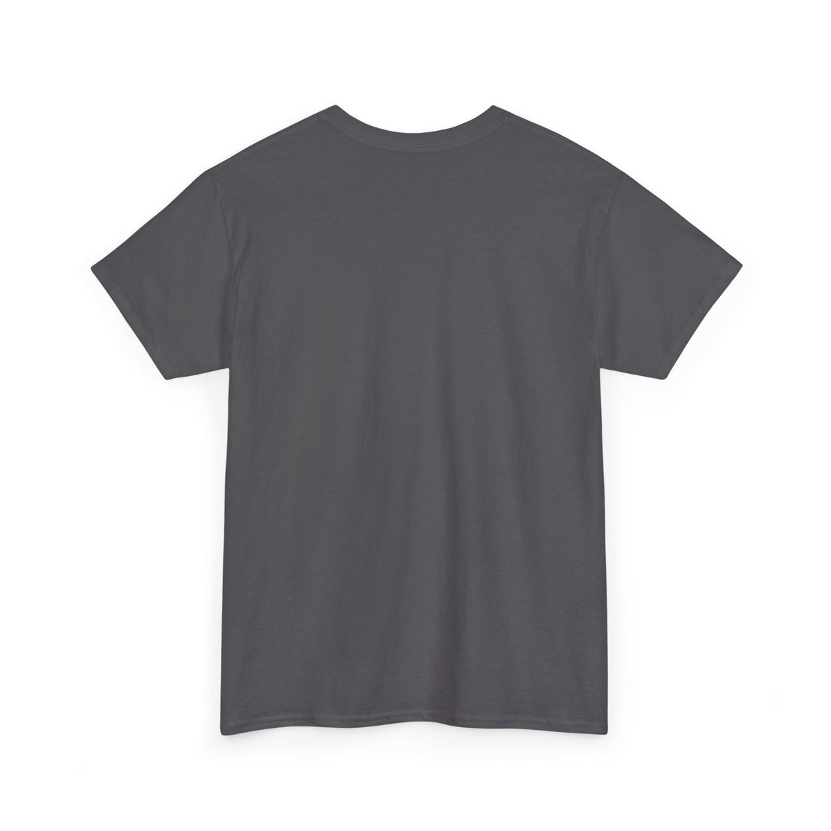 Ain't My First Rodeo T-Shirt
