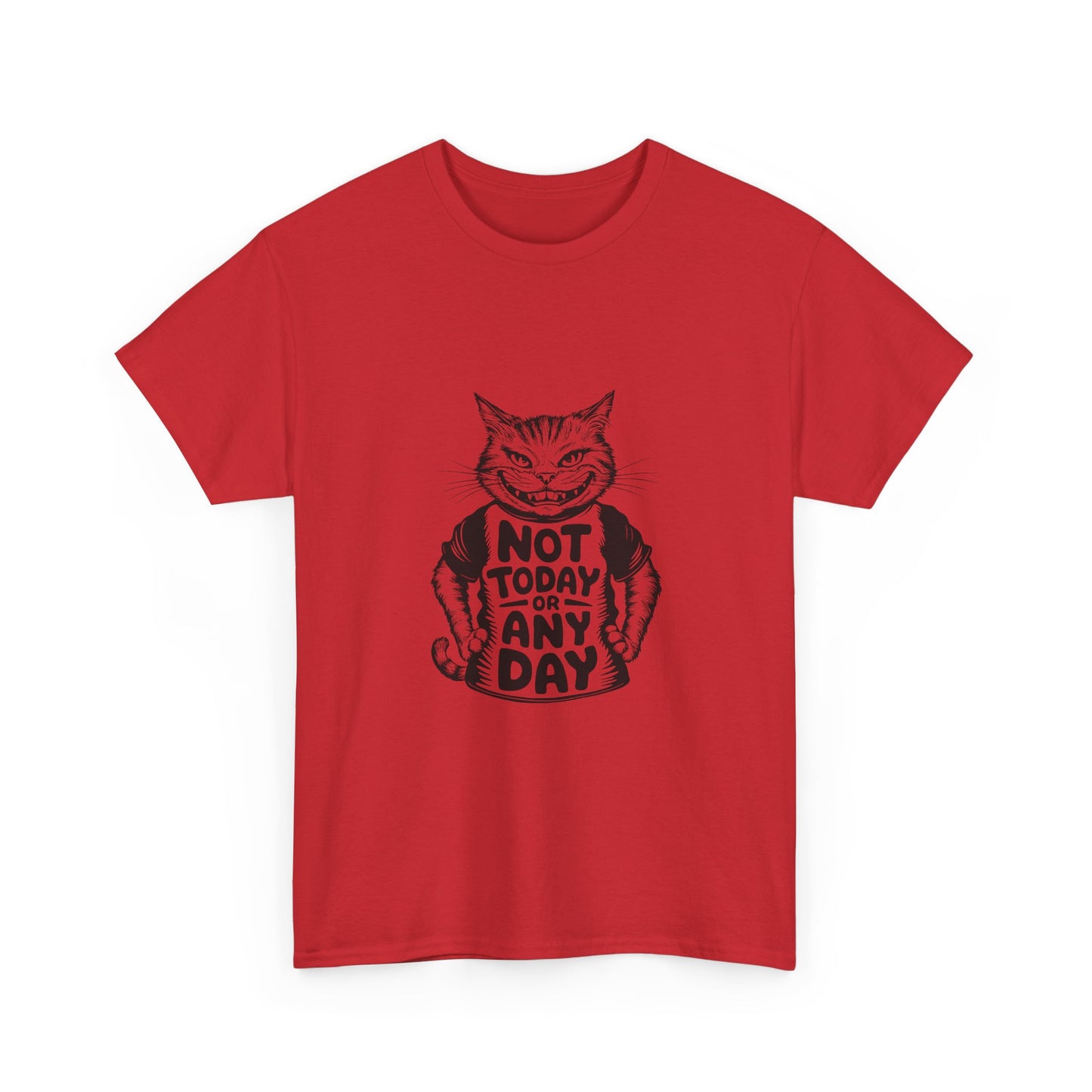 Cat Graphic Tee — “Not Today Any Day” Funny Grumpy Cat T‑Shirt