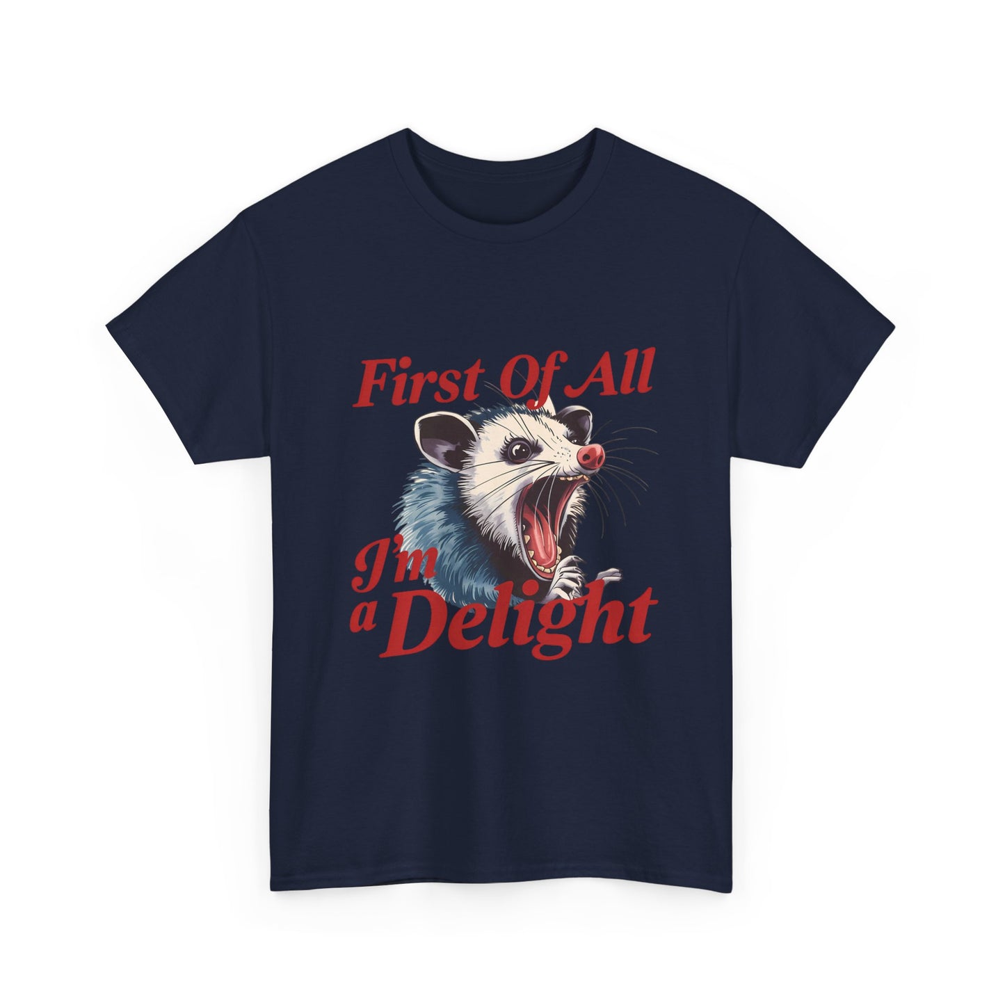 Possum 'First Of All I'm a Delight' Graphic Tee