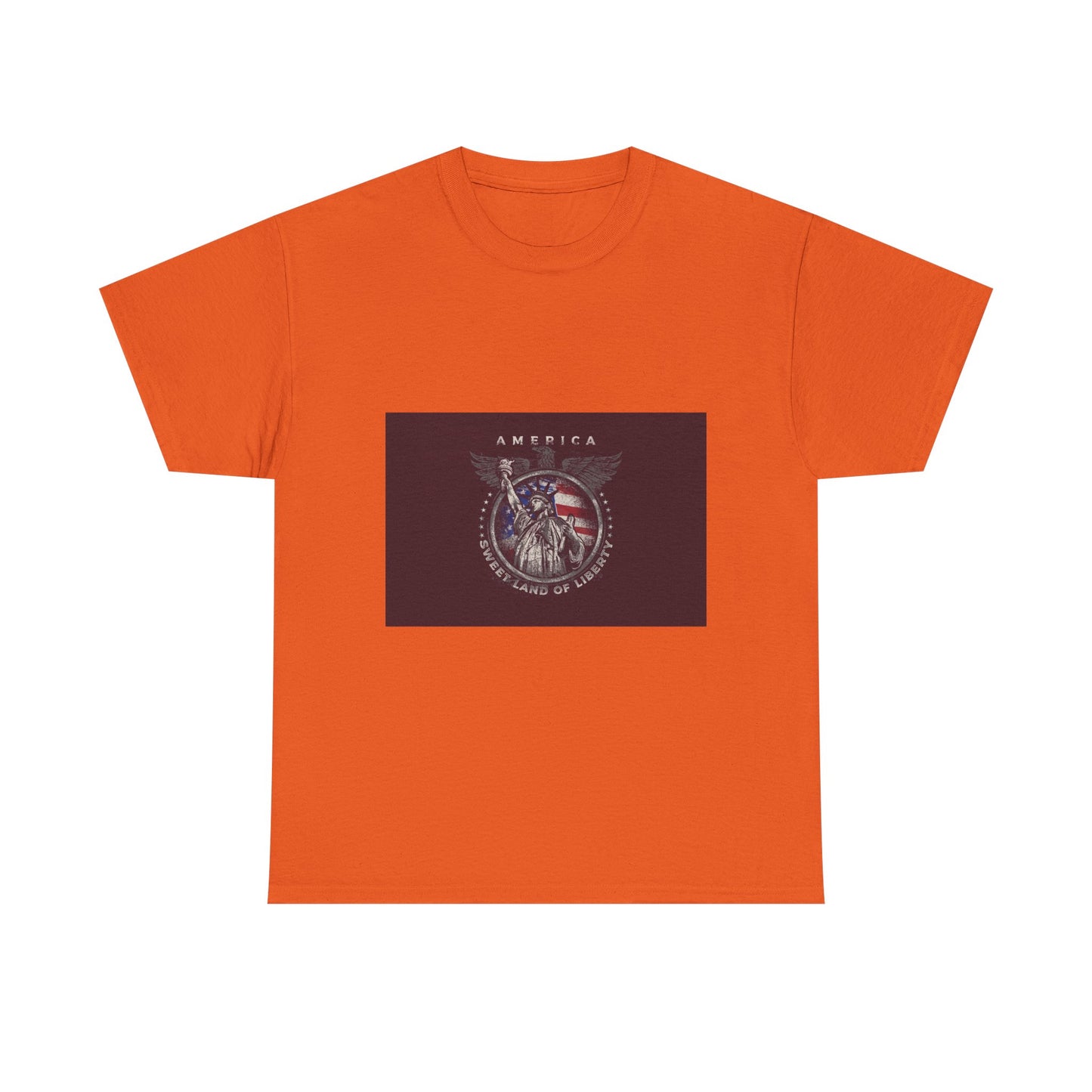 Patriotic Eagle T-Shirt – America Shield Graphic Tee