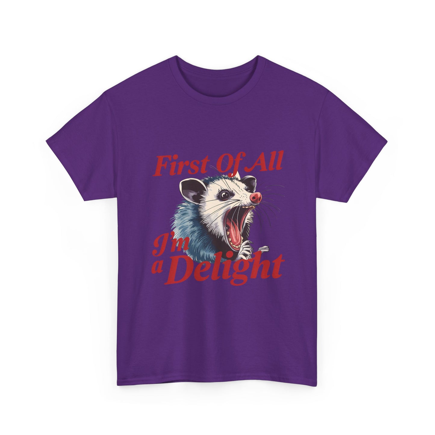 Possum 'First Of All I'm a Delight' Graphic Tee