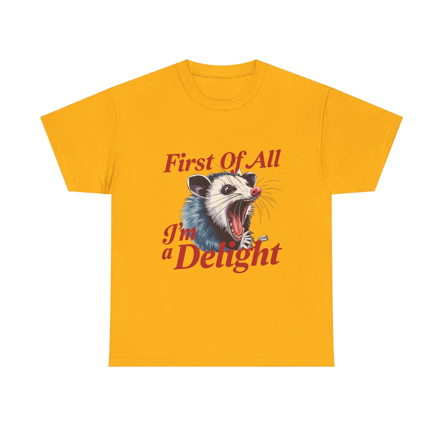 Possum 'First Of All I'm a Delight' Graphic Tee