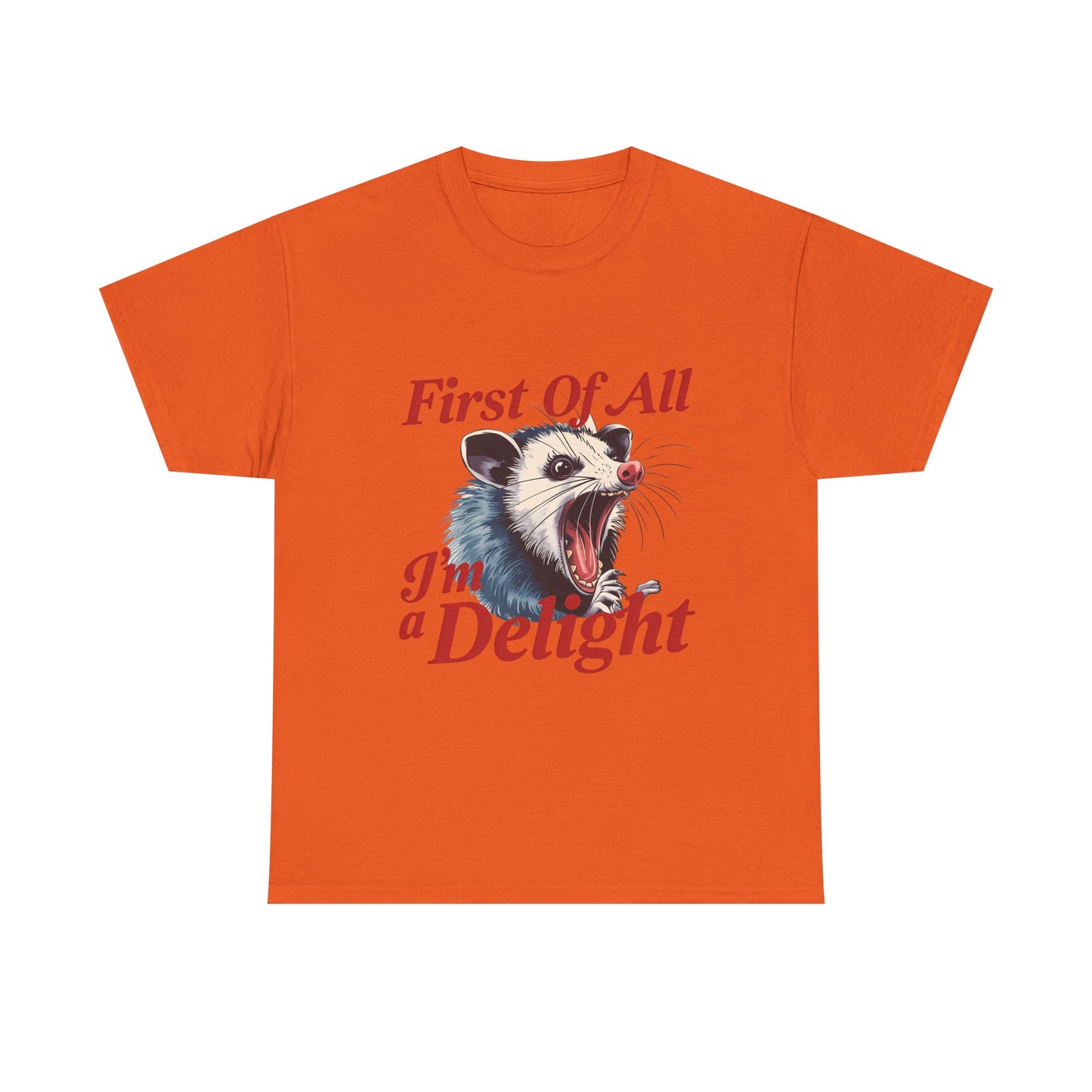 Possum 'First Of All I'm a Delight' Graphic Tee
