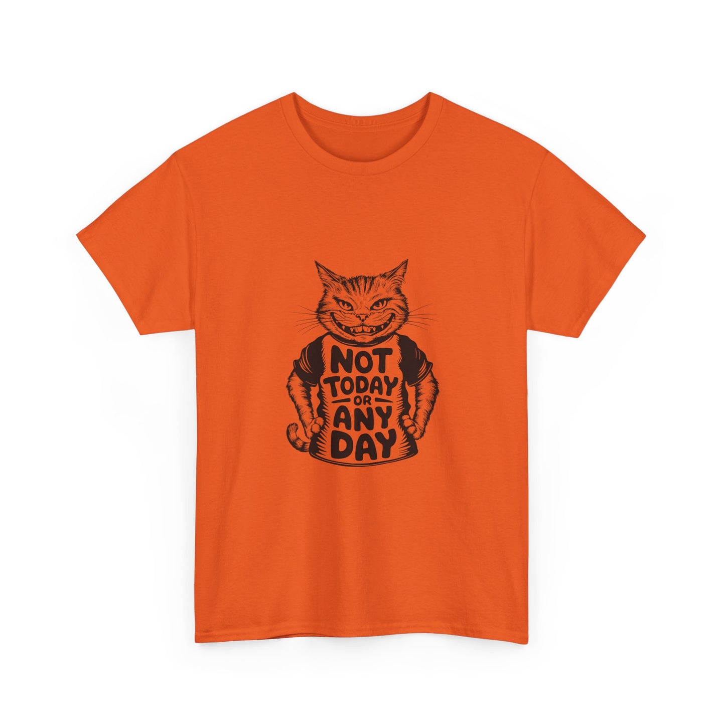 Cat Graphic Tee — “Not Today Any Day” Funny Grumpy Cat T‑Shirt