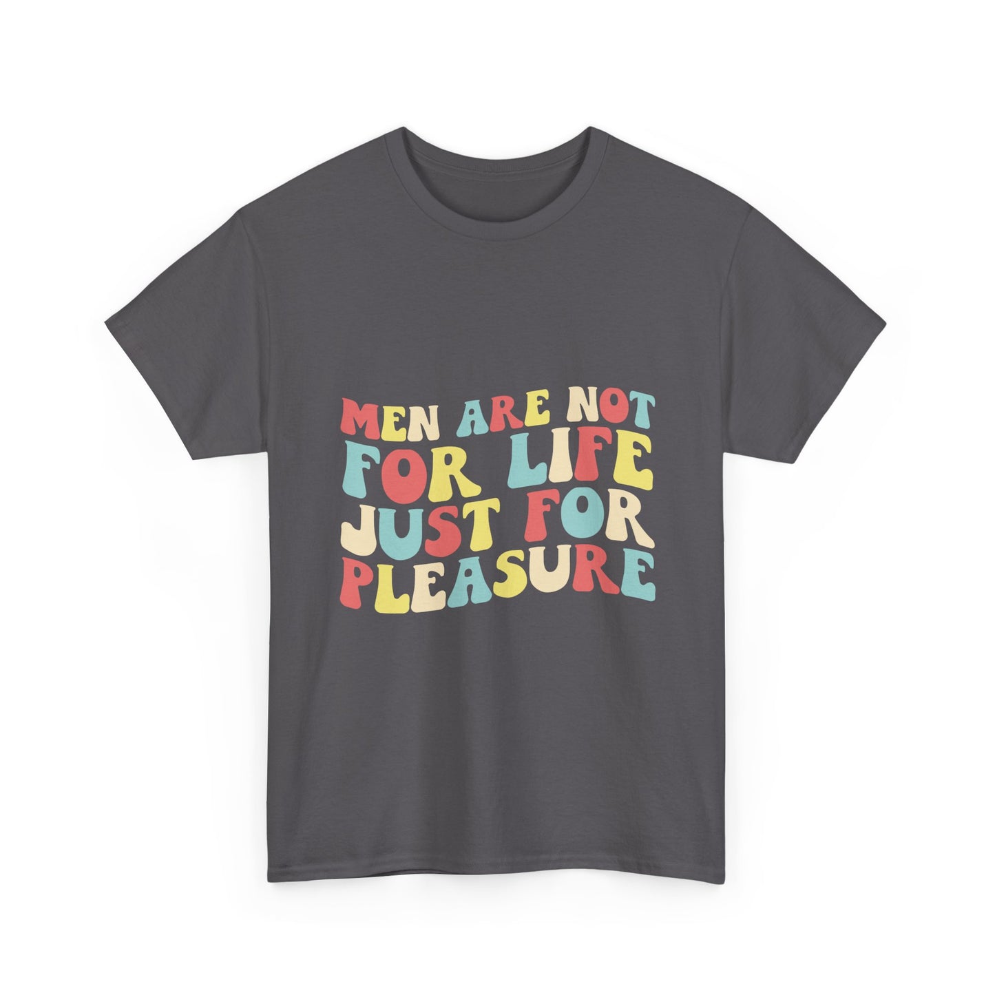 T-Shirt — "Men Are Not For Life Just For Pleasure" Retro Colorblock Graphic Tee