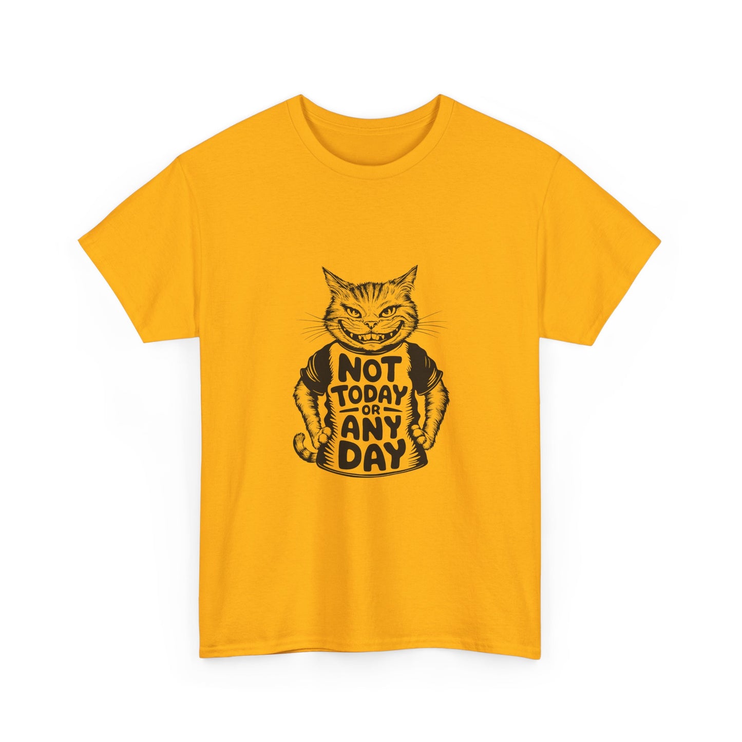 Cat Graphic Tee — “Not Today Any Day” Funny Grumpy Cat T‑Shirt