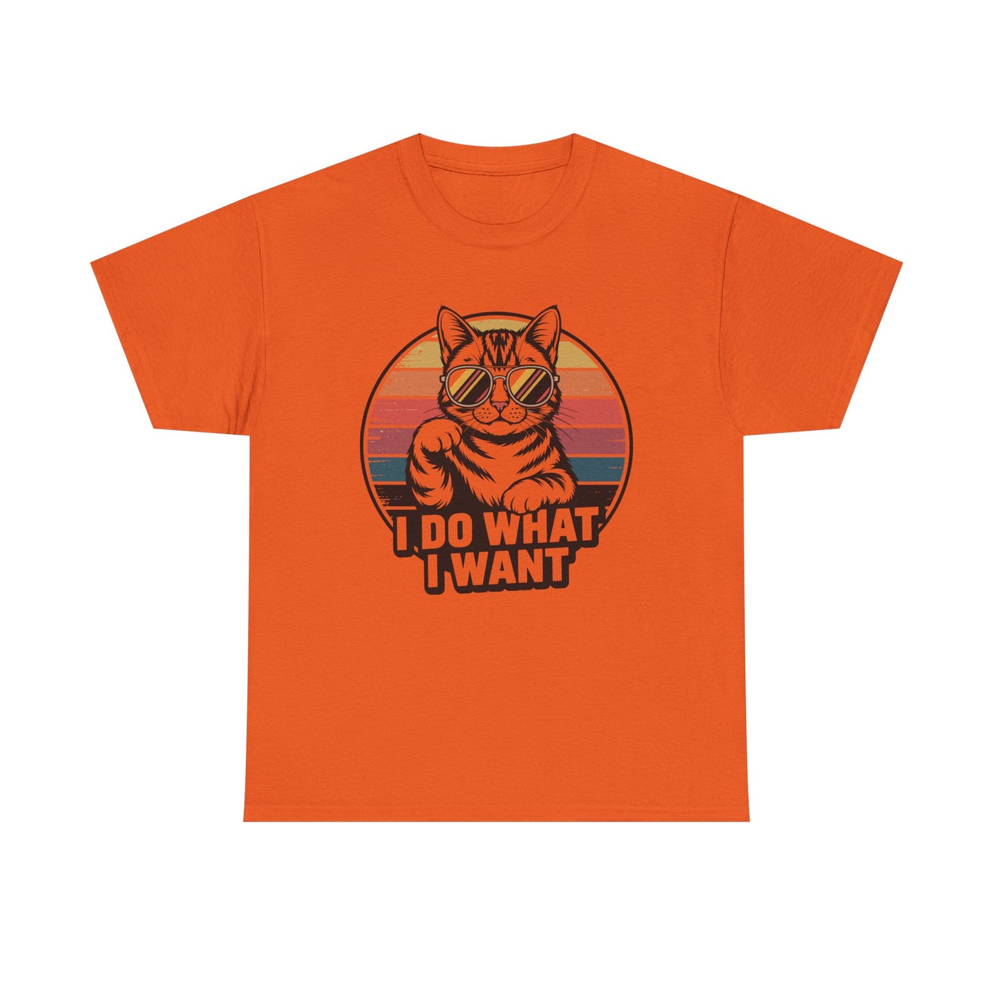 I Do What I Want Cat T-Shirt — Retro Sunglasses Vintage Stripe Graphic Tee