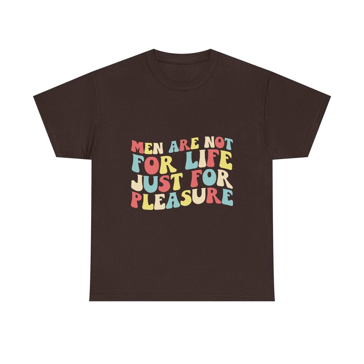 T-Shirt — "Men Are Not For Life Just For Pleasure" Retro Colorblock Graphic Tee