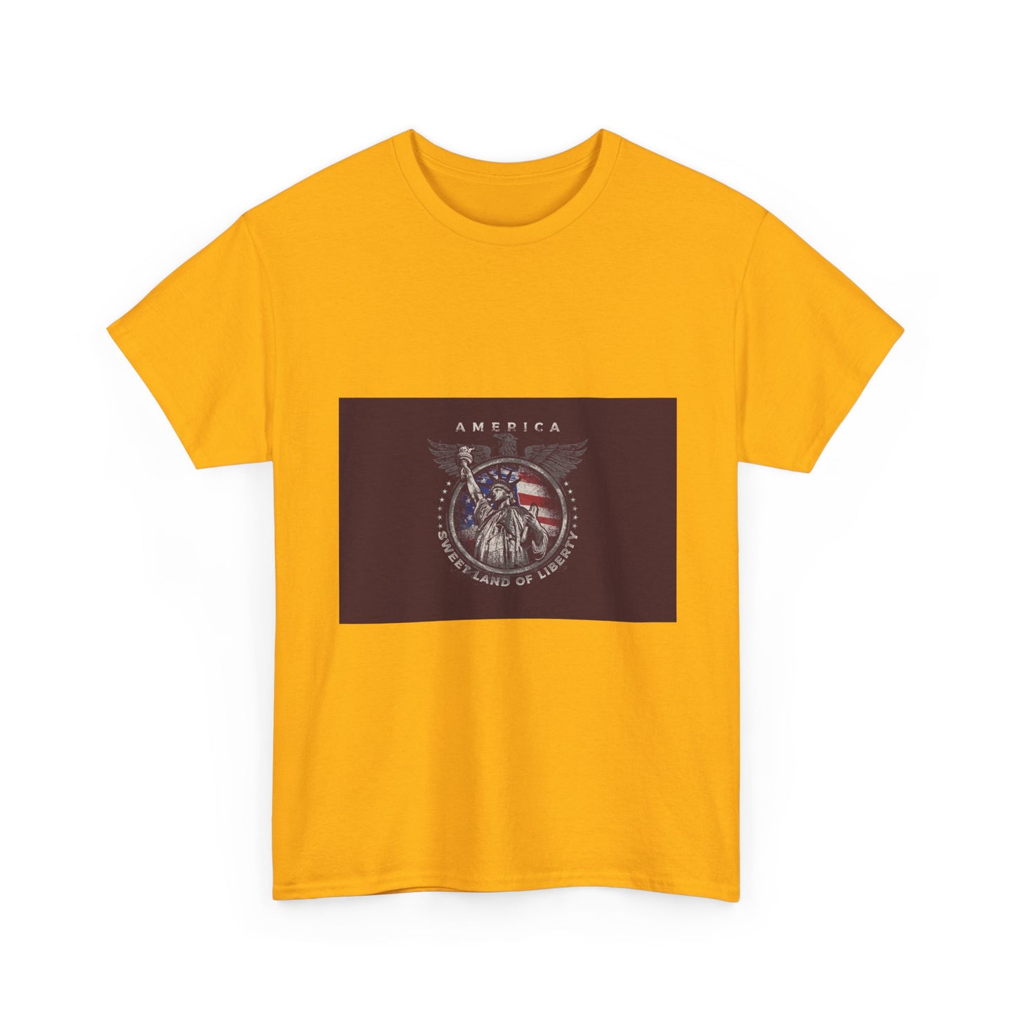 Patriotic Eagle T-Shirt – America Shield Graphic Tee