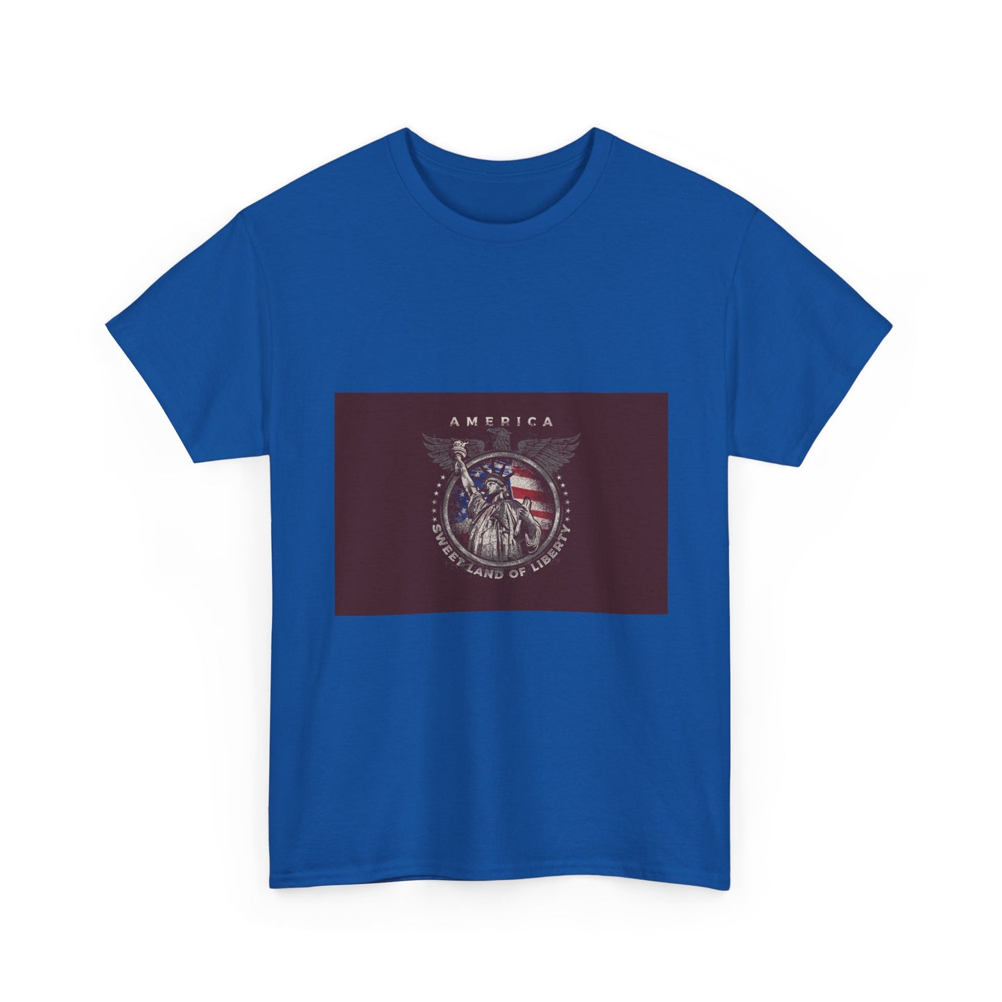 Patriotic Eagle T-Shirt – America Shield Graphic Tee