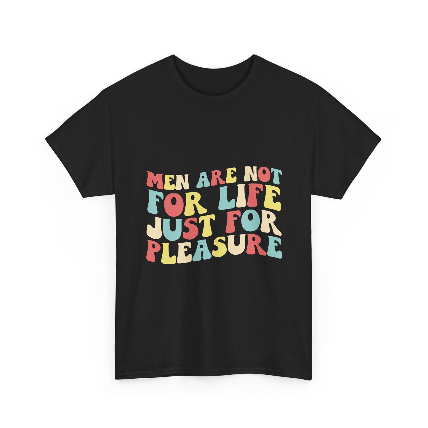 T-Shirt — "Men Are Not For Life Just For Pleasure" Retro Colorblock Graphic Tee