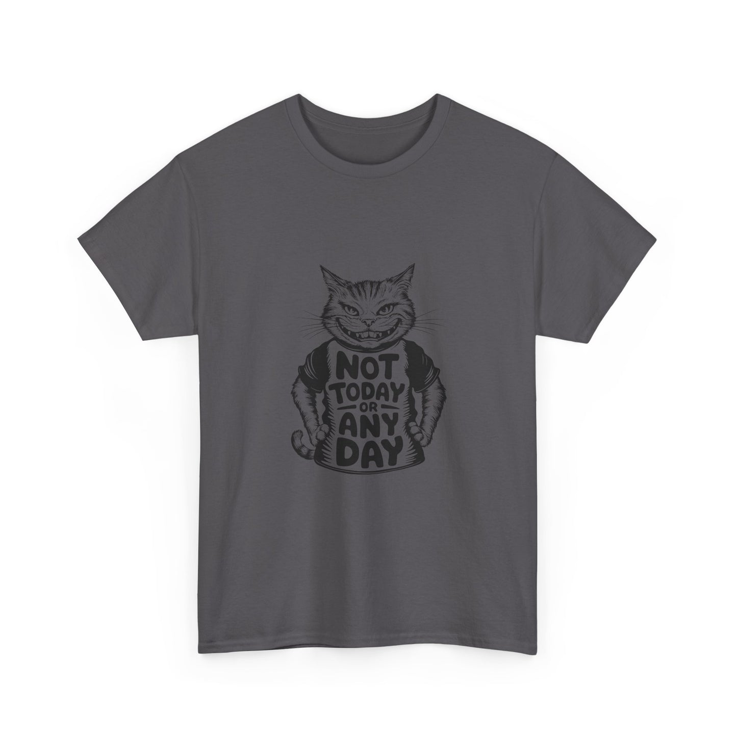 Cat Graphic Tee — “Not Today Any Day” Funny Grumpy Cat T‑Shirt