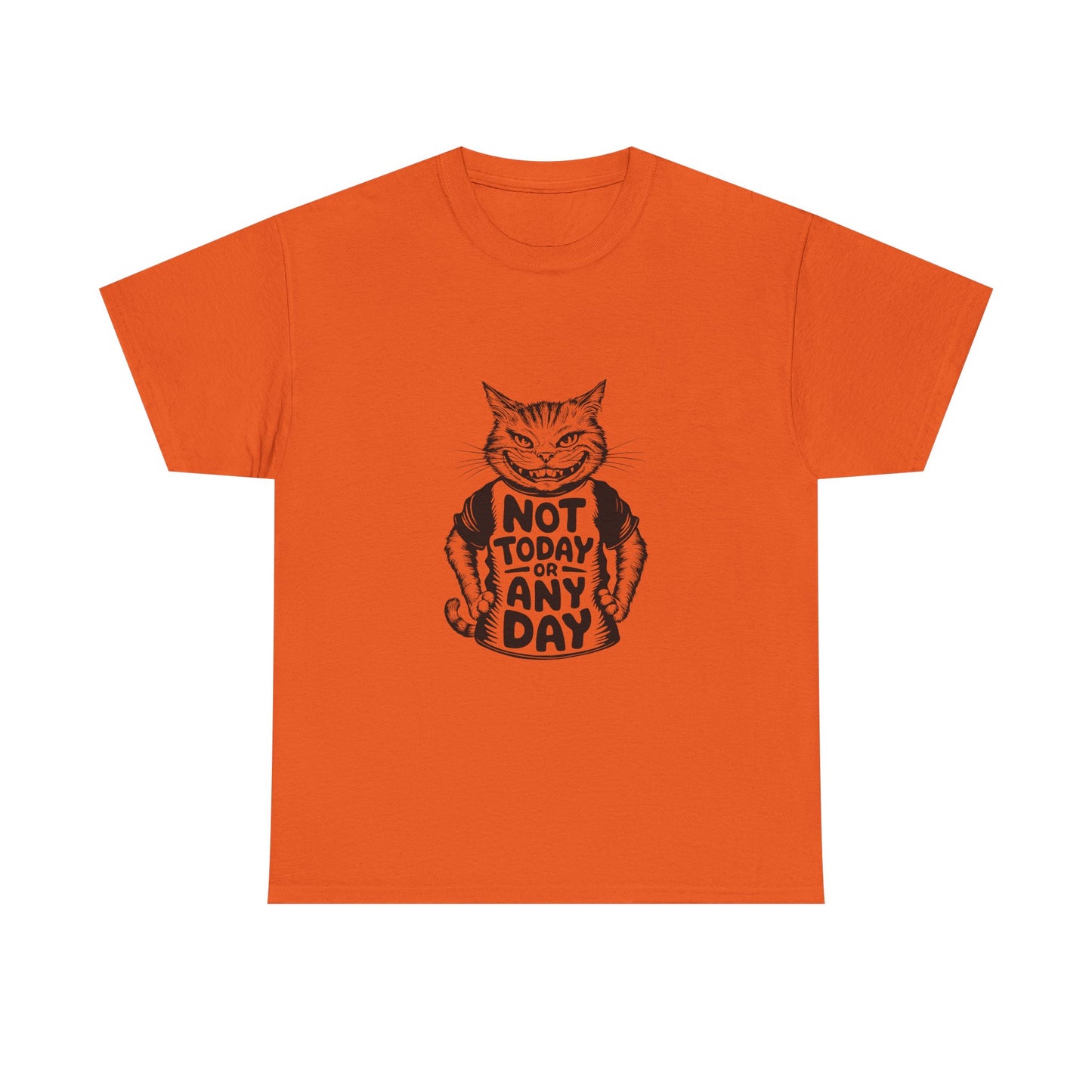 Cat Graphic Tee — “Not Today Any Day” Funny Grumpy Cat T‑Shirt