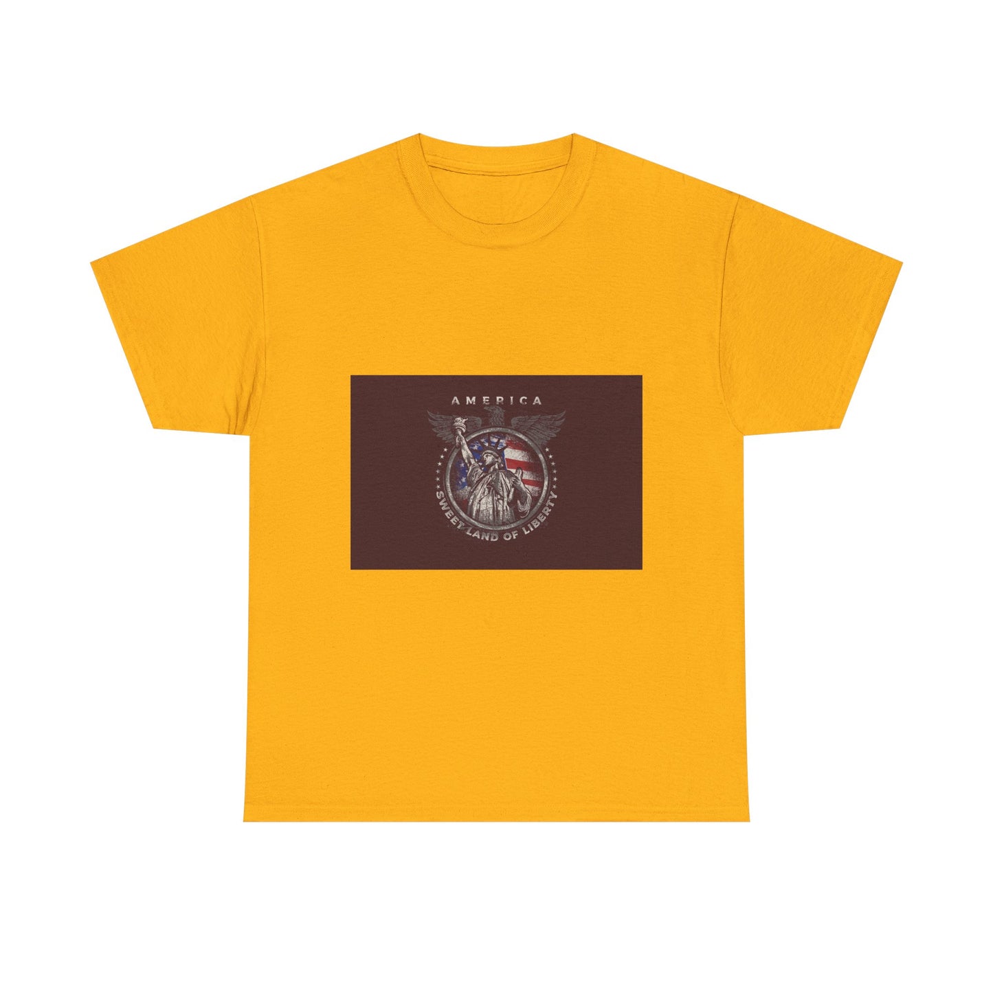 Patriotic Eagle T-Shirt – America Shield Graphic Tee