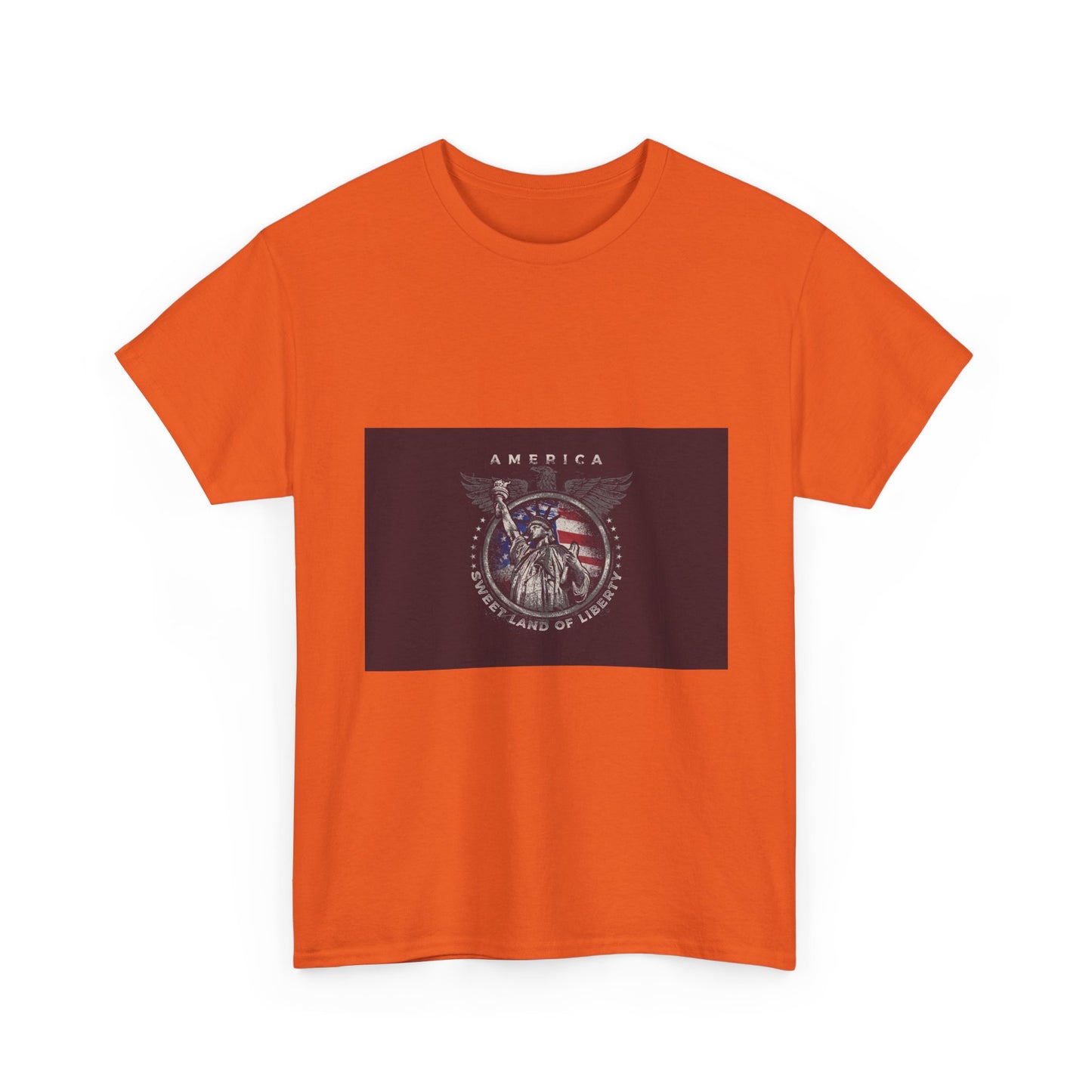 Patriotic Eagle T-Shirt – America Shield Graphic Tee