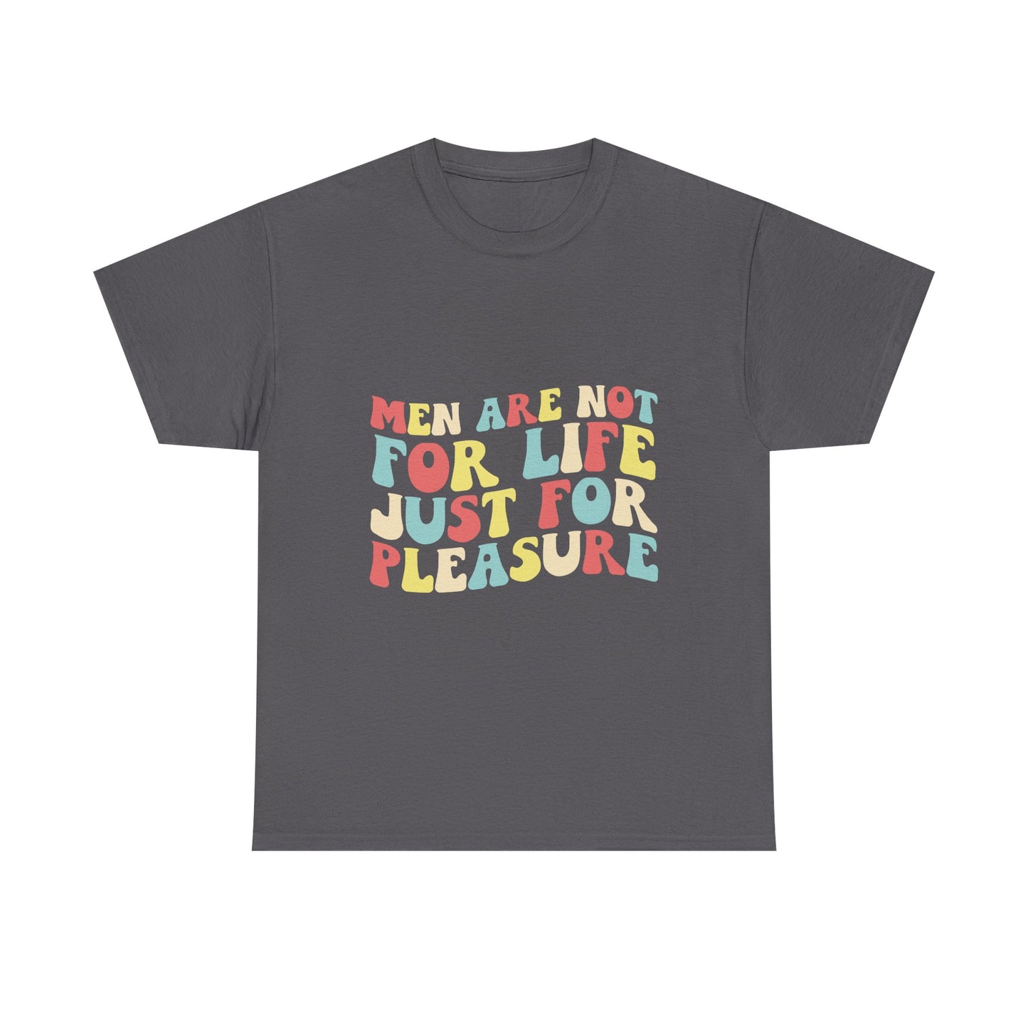 T-Shirt — "Men Are Not For Life Just For Pleasure" Retro Colorblock Graphic Tee