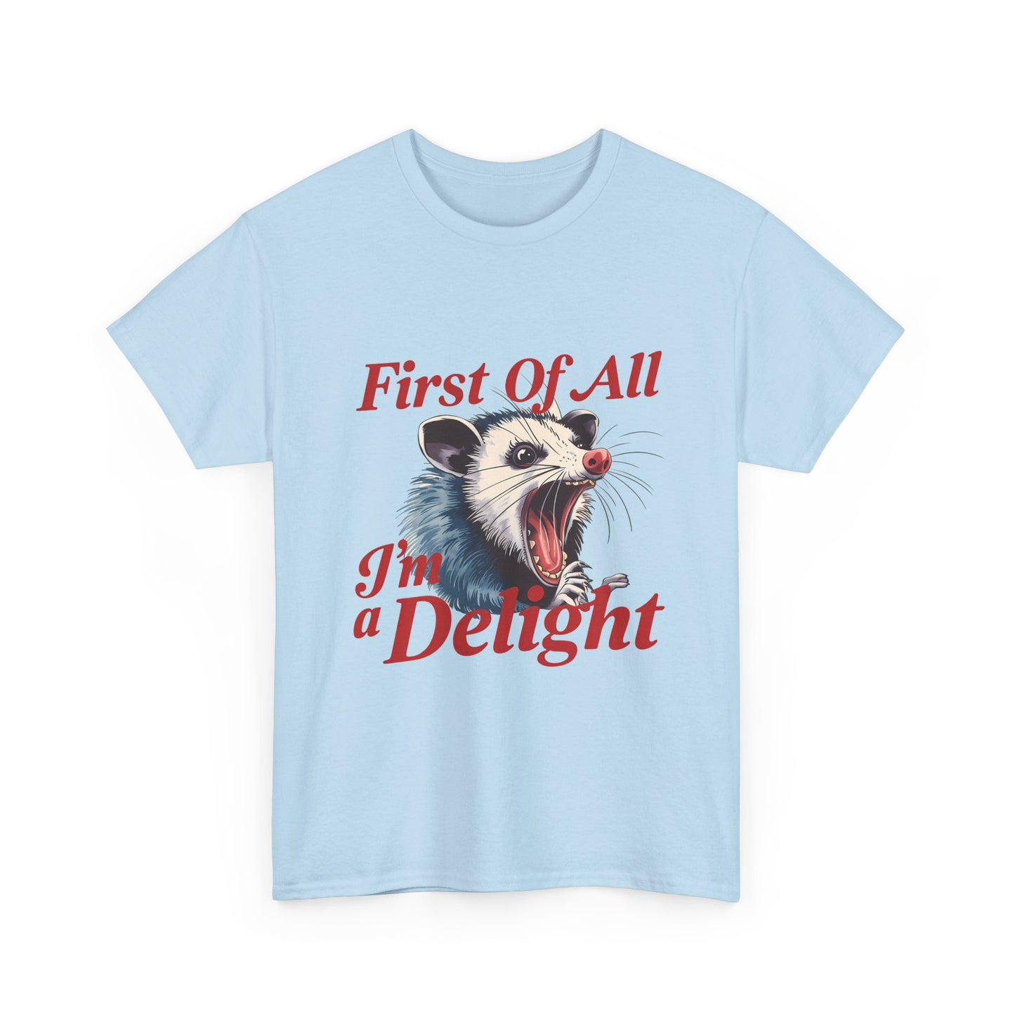 Possum 'First Of All I'm a Delight' Graphic Tee